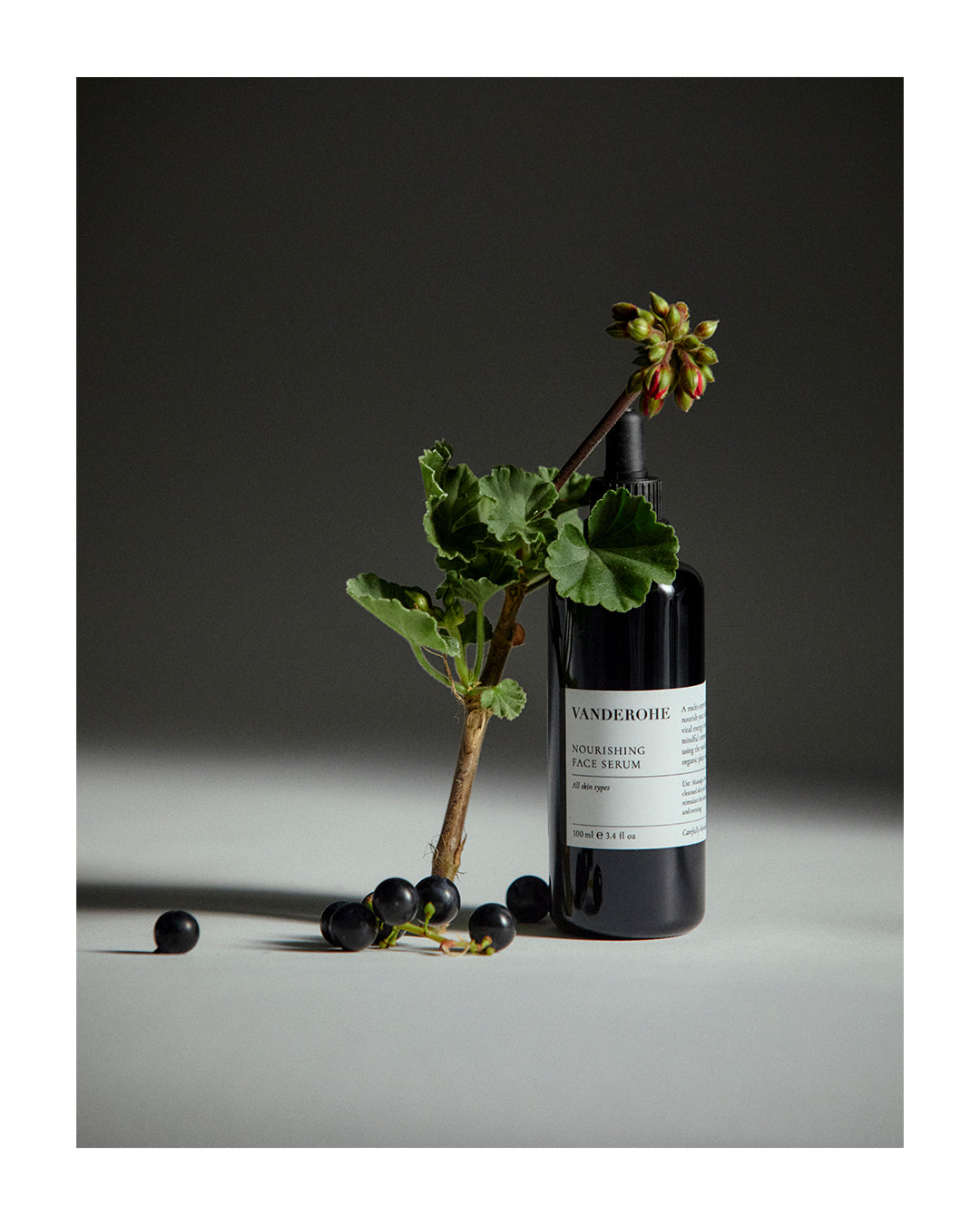 The Art of Scent: A Sensory Journey with Vanderohe