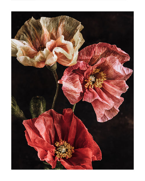 The Art of Paper Flowers with Charlotte Hepworth