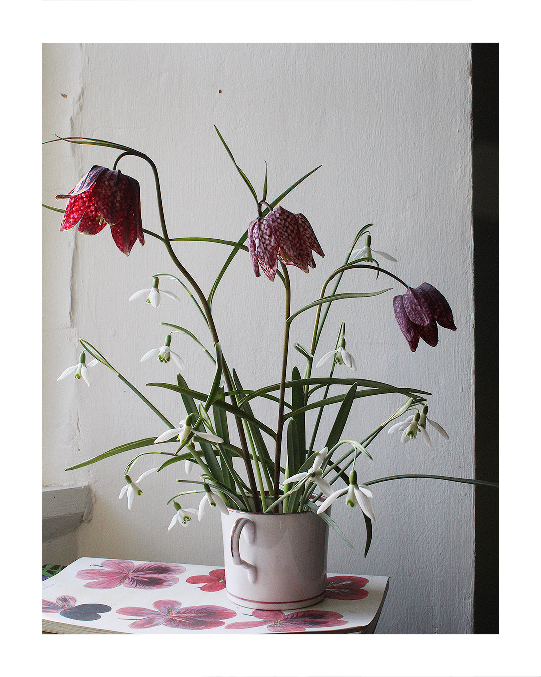 Christmas Flowers with Sean A. Pritchard